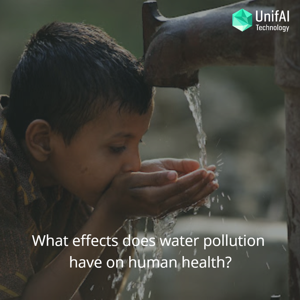 What effects does water pollution have on human health?