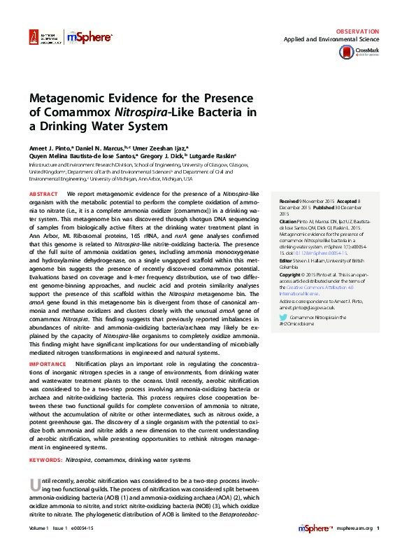 Metagenomic Evidence for the Presence of Comammox Nitrospira-Like Bacteria in Drinking Water System