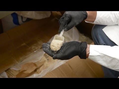 Super Sponge for Oil Spills