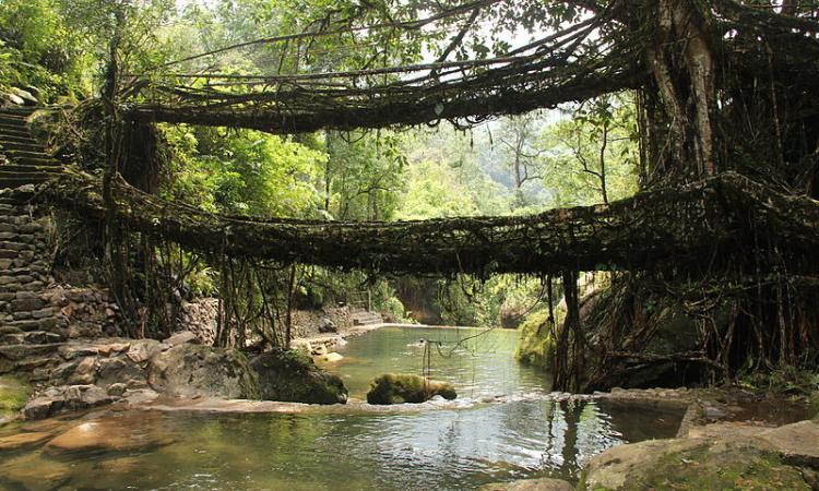 Ecosystem-based approach: The case of Meghalaya | India Water Portal