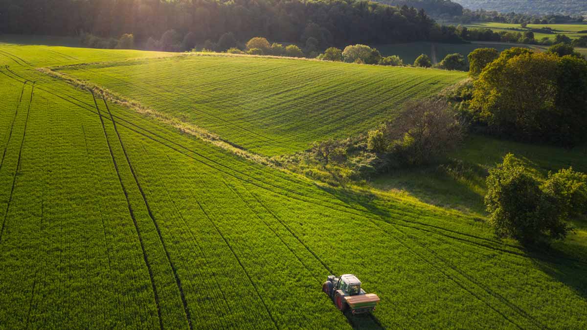 Green ammonia poised to revolutionise multiple industriesMonash University has exclusively licensed a new green ammonia technology to start-up J...