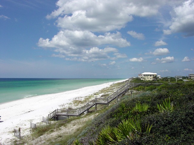 Natural Infrastructure's Contribution to Coastal Resilience 