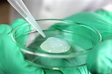 Hydrogels Used for Water Purification