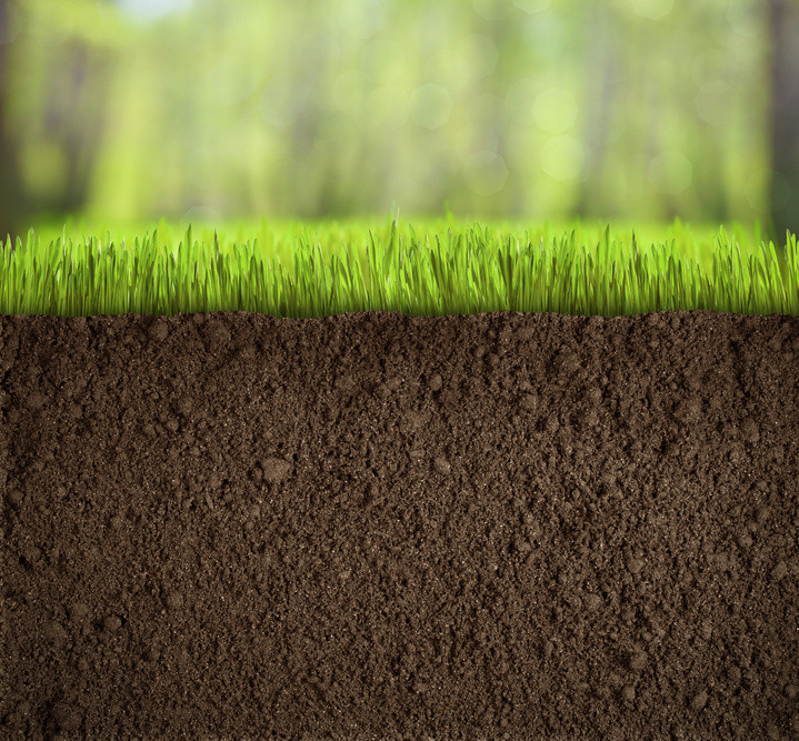 Soils are Living Filters