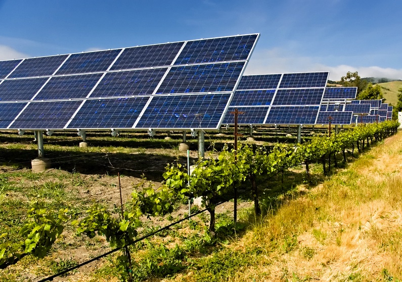 Solar Power Energizes Farmer's Irrigation System