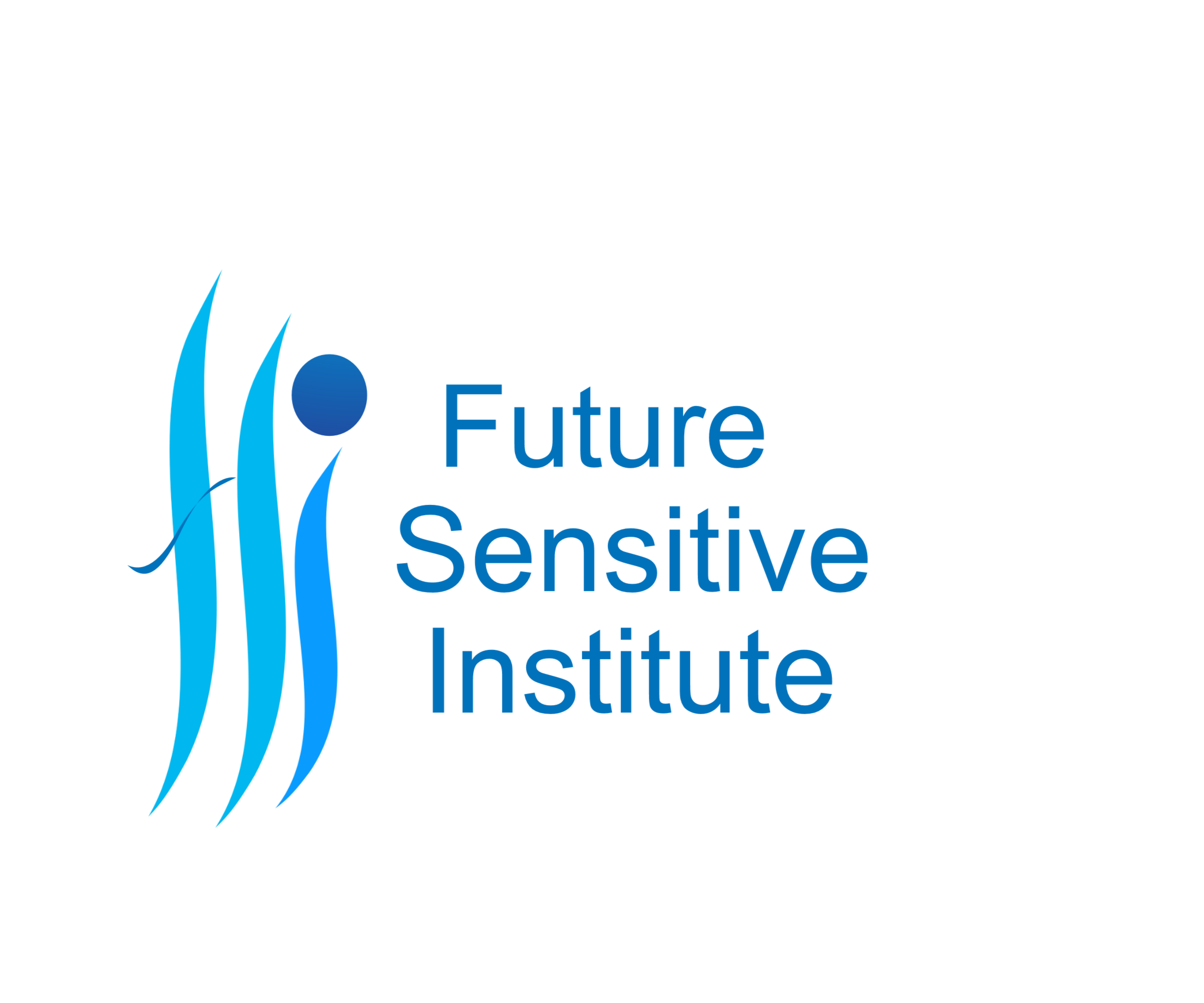 FSI 2012