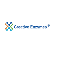 Project Manager, Enzymology & Microbiology