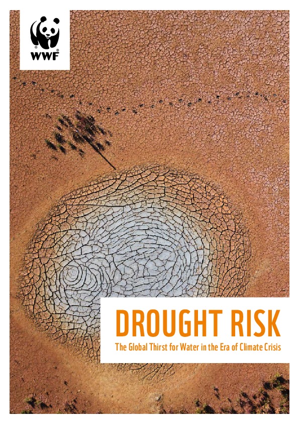 Drought Crisis - The Global Thirst for Water in the Era of Climate Change