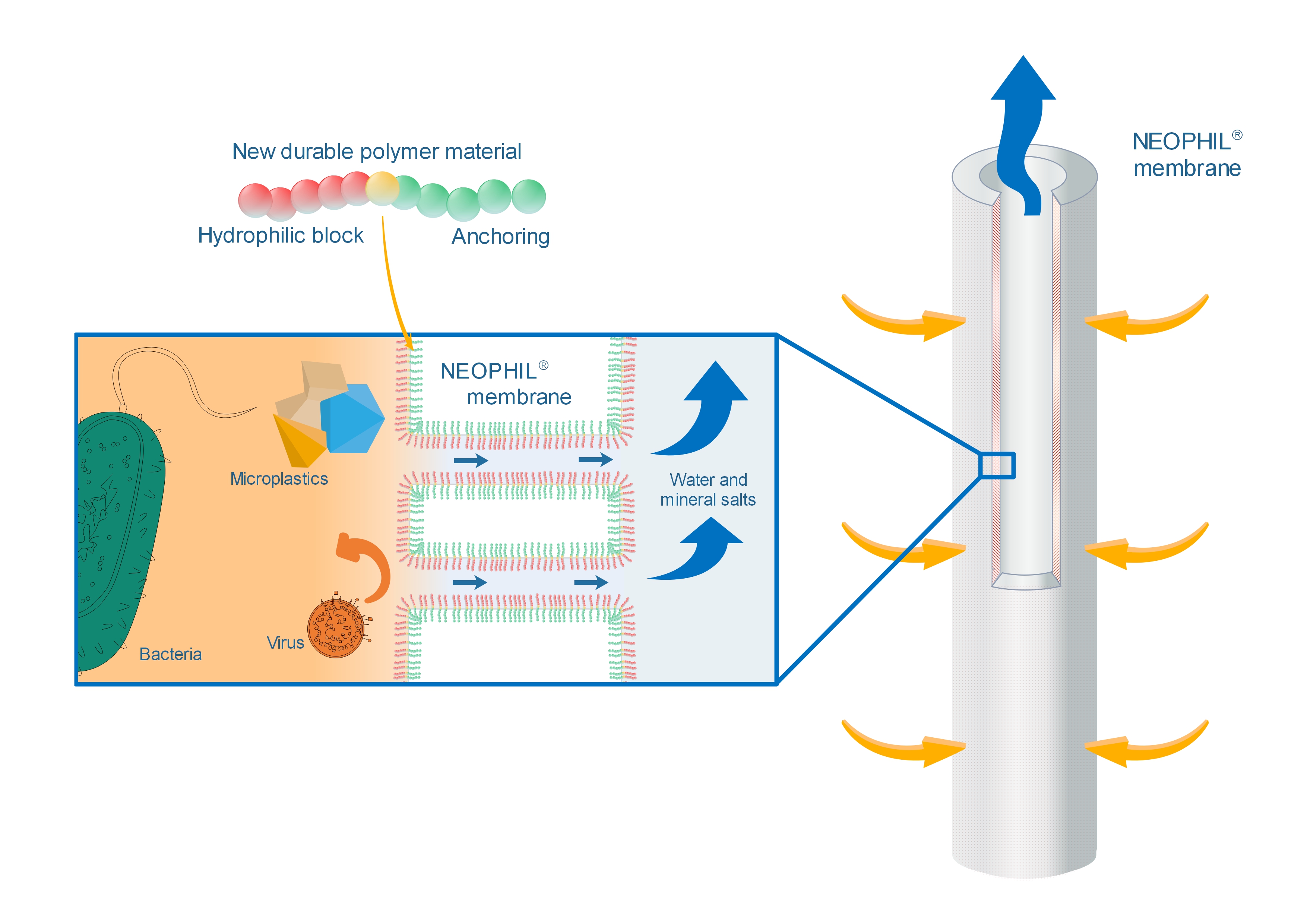 Neophil: The new durable Bisphenol free Ultrafiltration membrane in water treatment to produce drinking water at low cost, to re-use in circular...