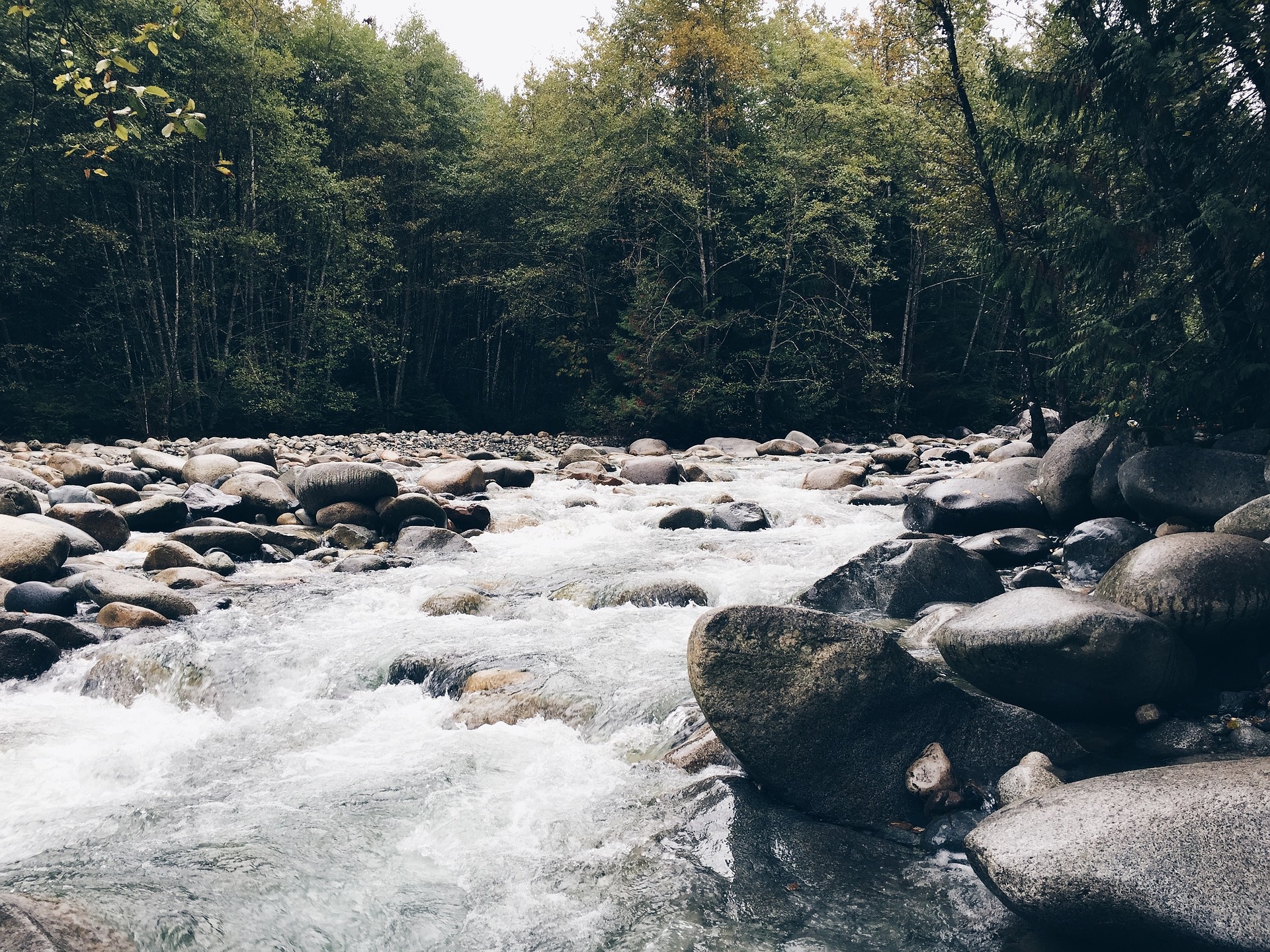 Protecting streams that feed Lake Erie will take much work, study finds