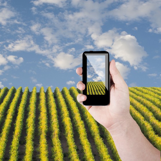 Vodafone Mobile to Push Smart Farming