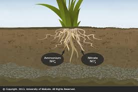 Recycled Wastewater Benefits