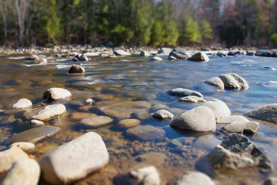 The Way Rivers Function Reflects Their Ecological Status