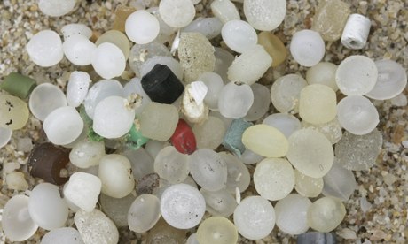 Microplastic Pollution in St. Lawrence River