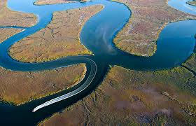 Researchers Release Red Dye into Altamaha River