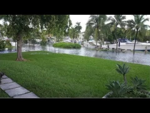 OriginClear Offers Solution to Miami-Dade's Major Septic Problem (Video)