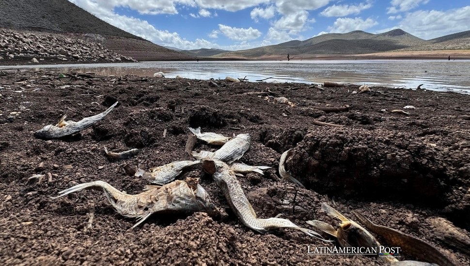 Drought Forces Big Tech to Rethink Data Centers in Latin America - LatinAmerican PostAs South America grapples with prolonged drought, tech gian...