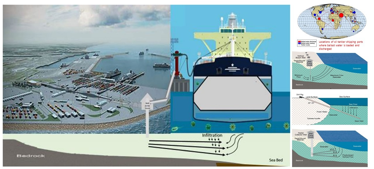 Green method of  invasive organisms removal by natural filtration of shipping ballast water