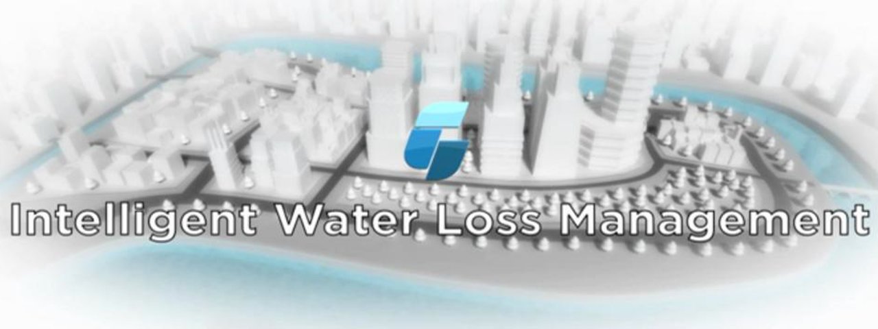 Intelligent Water Loss Management