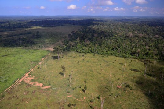 Deforestation and Climate Change Combined May Split Amazon in Two