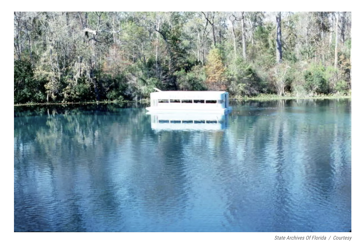 Wake up now: Dirty water has grounded Wakulla Springs' iconic glass bottom boats Human burdensWakulla Springs is fed by the Floridan Aquifer.As ...