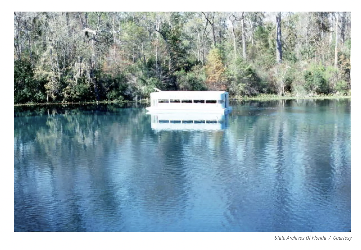 Wake up now: Dirty water has grounded Wakulla Springs&#039; iconic glass bottom boats Human burdensWakulla Springs is fed by the Floridan Aquifer.As ...