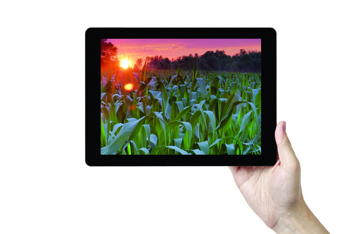 IT Mobile Apps for Corn Growers