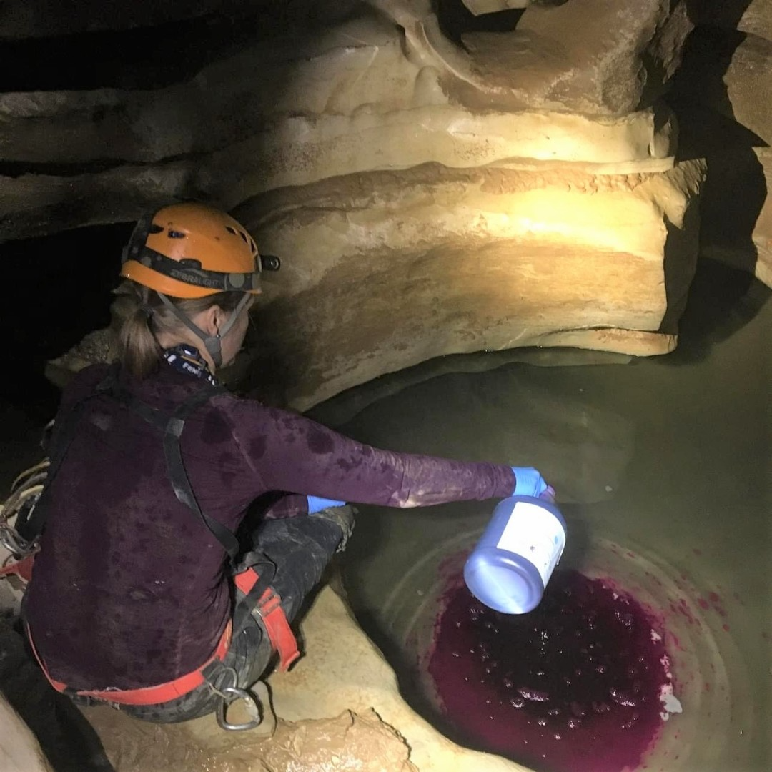 Dye Tracing Illuminates Pathways through Mammoth Cave National Park