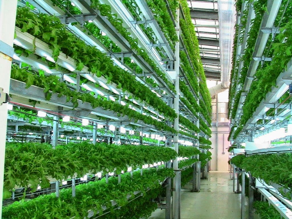 Vertical Farming with 95% Less Water