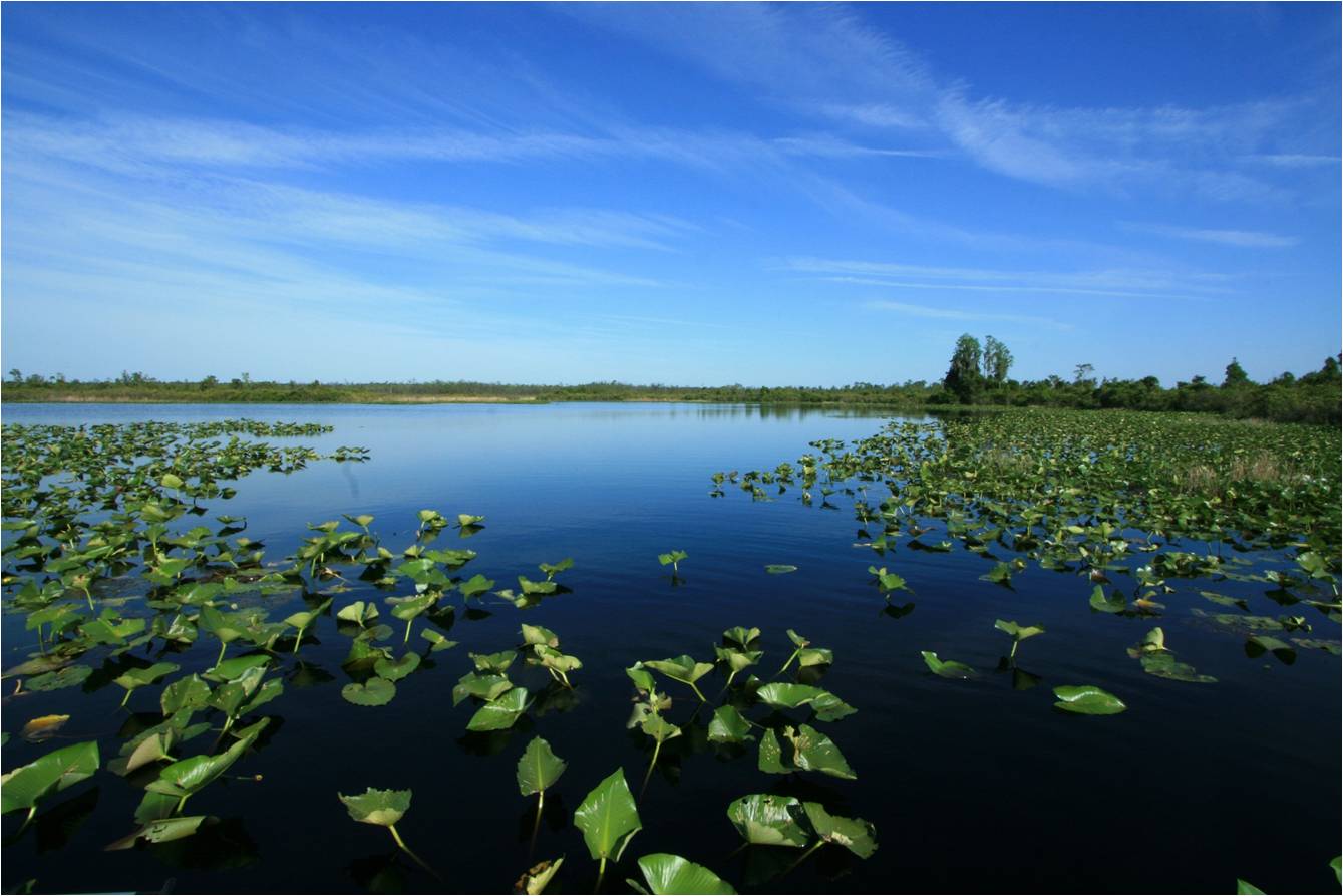 Lakes Restoration Initiative Awarded