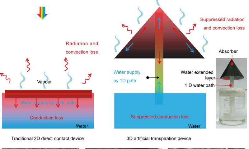 Artificial transpiration for solar water purification