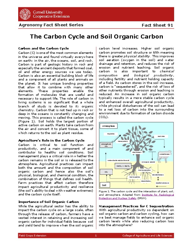 Cornell UniversityThe Carbon Cycle and Soil Organic CarbonAgronomy Fact Sheet SeriesField Crops Extension 1 College of Agriculture and Life Scie...