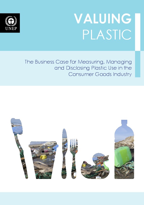 UNEP Report - Valuing Plastic (2014)