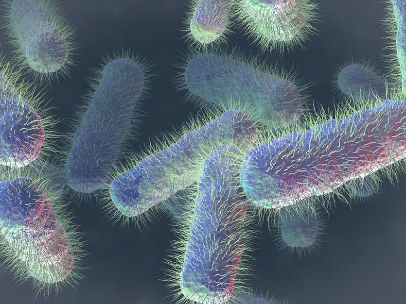 Quick Nanosensor Test for E. Coli Contamination