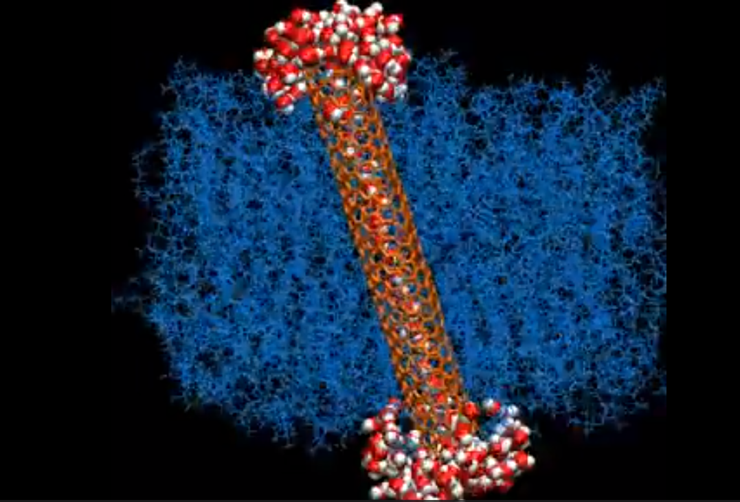Skinny Nanotubes Break Aquaporin’s Record for Moving Water