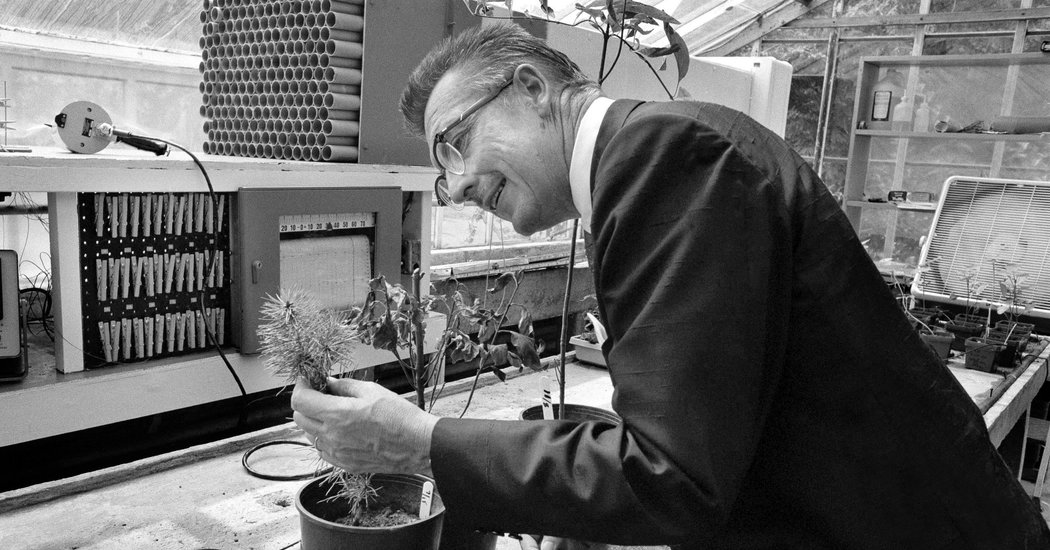 David M. Gates Dies at 94; Sounded Early Alarm on Environmental Perils