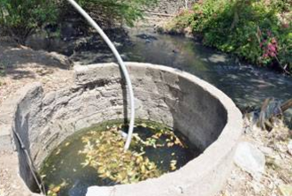 Biofilter - the Earthworm and Microbes for Sanitation