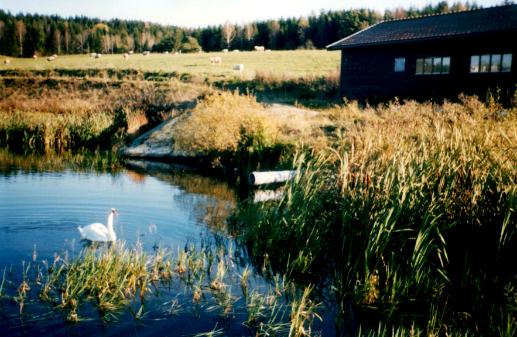 NEW METHODS FOR FECAL SOURCE TRACKING IN NORWAY