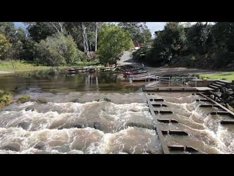 Wyong Weir FishwaysThe two fishways at Wyong Weir are flowing well after the recent rains, hopefully they can continue flowing through the start...