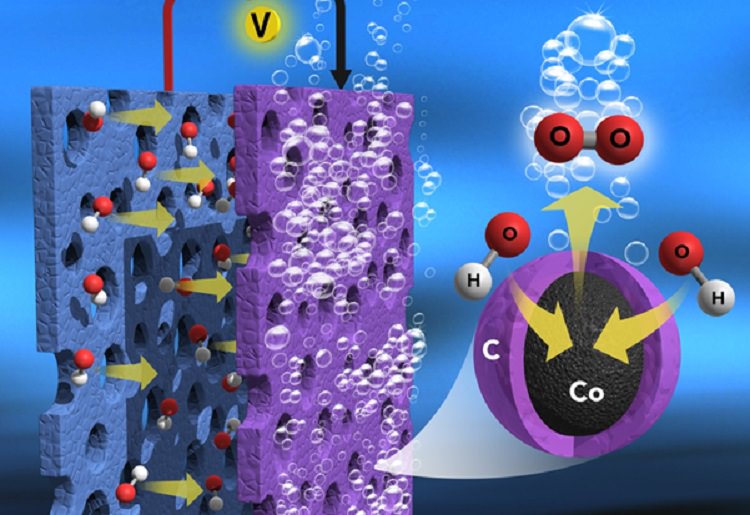 High-efficient and Low-cost Catalyst for Water Electrolysis