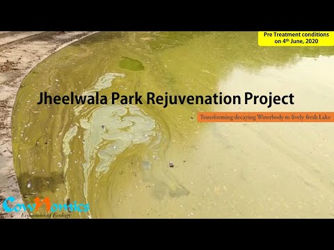 Here&rsquo;s a case study of Waterbody Rejuvenation, for a project in Delhi.Jheelwala Park, as the name suggests the park itself is named after the ...