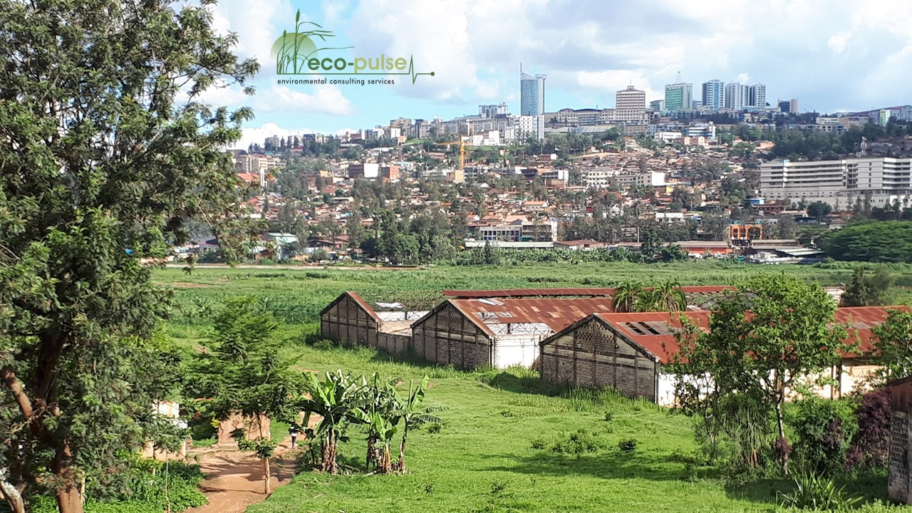 Rehabilitation of wetlands in the City of KigaliKigali, the capital city of Rwanda, is surrounded by a vast network of broad valley bottom wetla...