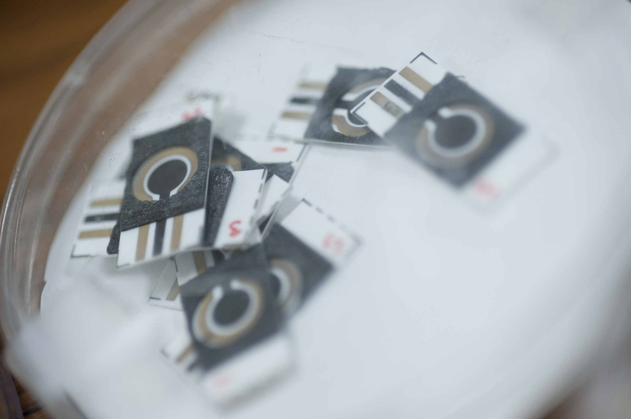 New Biosensors for Testing Water