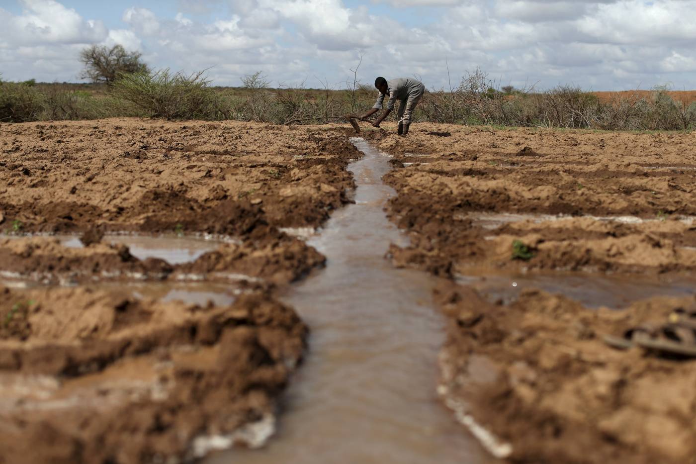Irrigation on the Rise in Africa Due to Erratic Weather