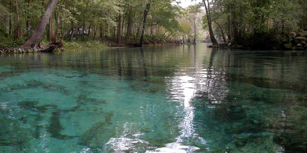 Ginnie Springs Florida - Nestlé Permit debate