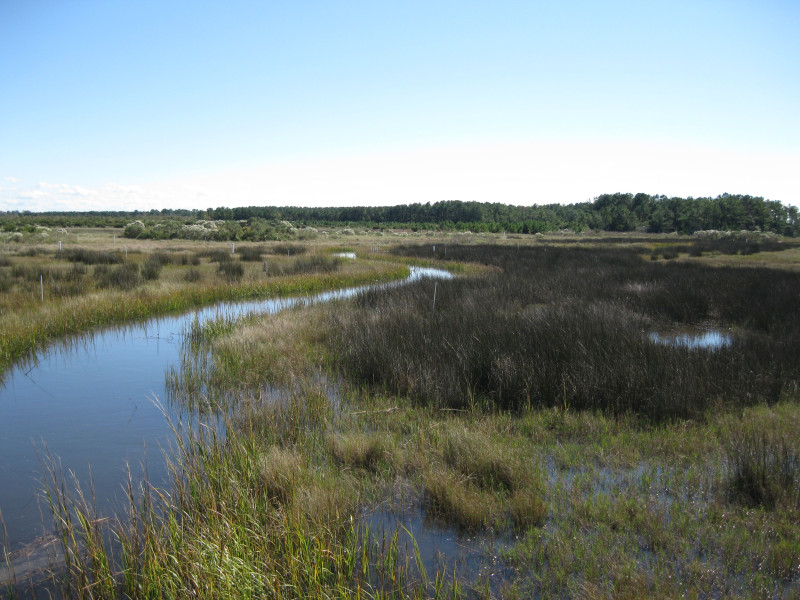 Research - New technique allows frequent water quality monitoring for suite of pollutants