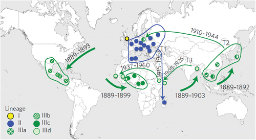 Genomic study of epidemic dysentery reveals how Europe exported a scourge worldwide