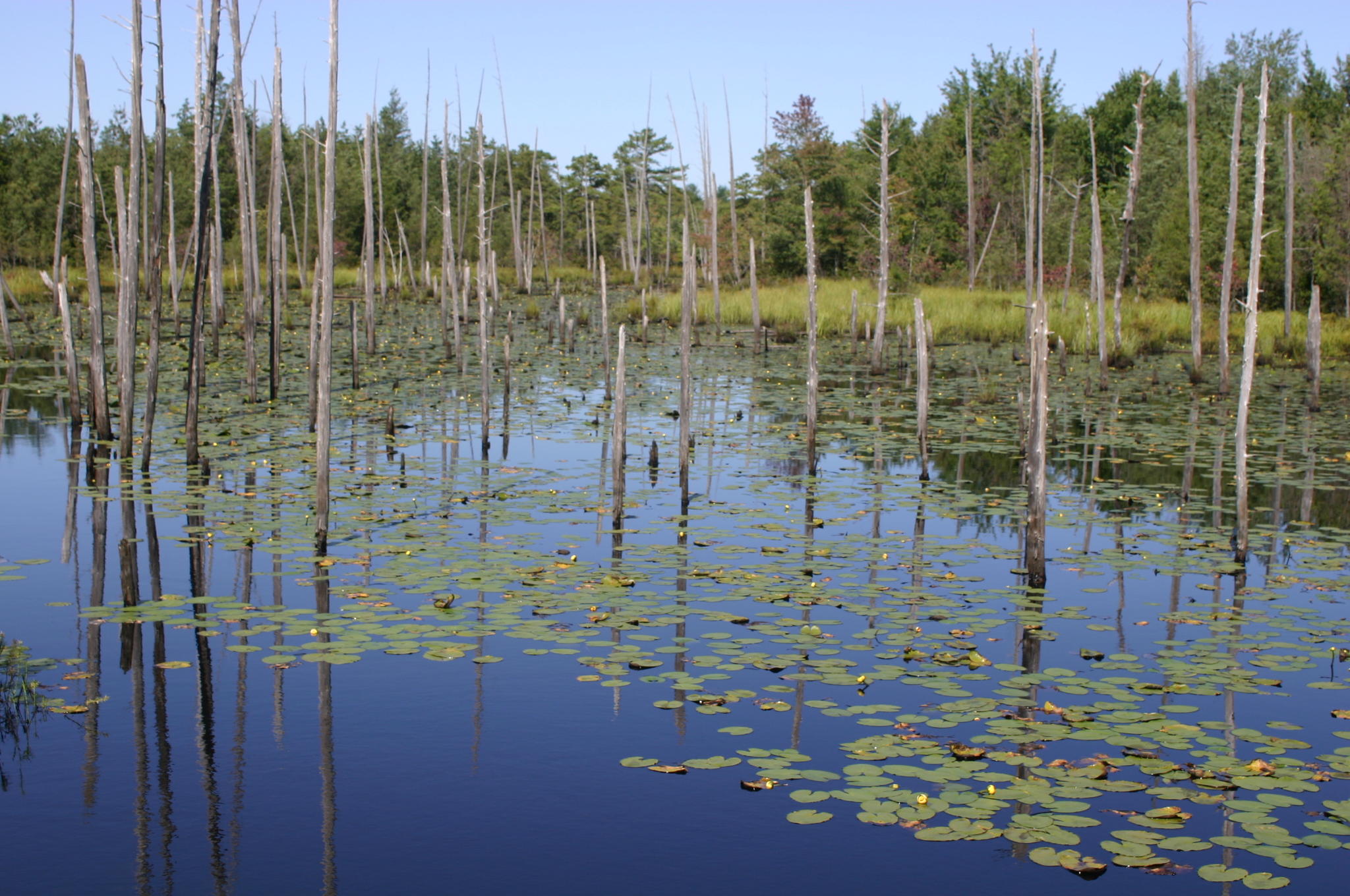Clean Water Act Expansion Under Debate