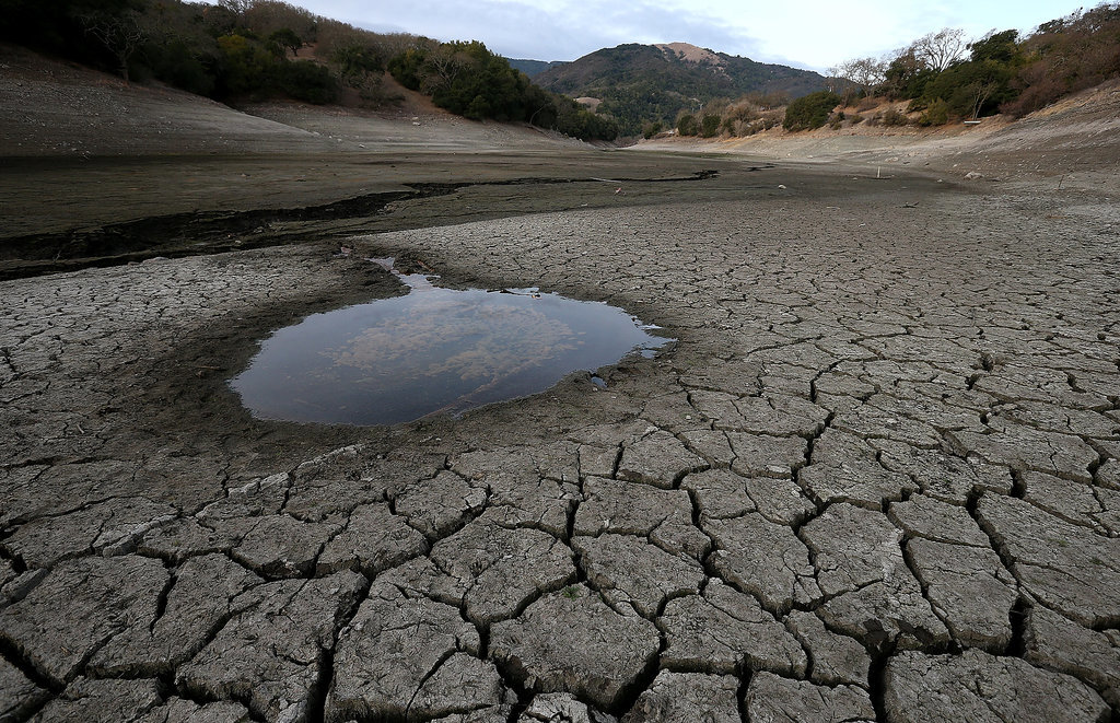 New Insights into the Supercritical State of Water