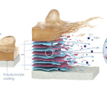 Peel-off coating keeps desalination cleaner and greener